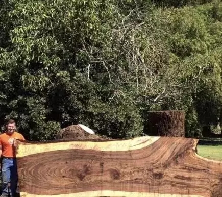 640.webp (4).jpg 640.webp (4).jpg