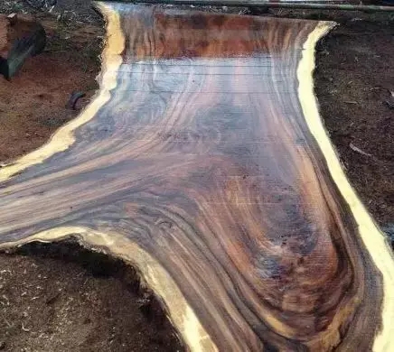 640.webp (10).jpg 640.webp (10).jpg