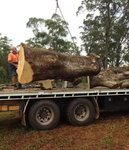 640.webp (12).jpg 640.webp (12).jpg