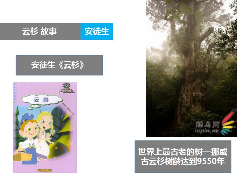 圖片2.jpg 圖片2.jpg