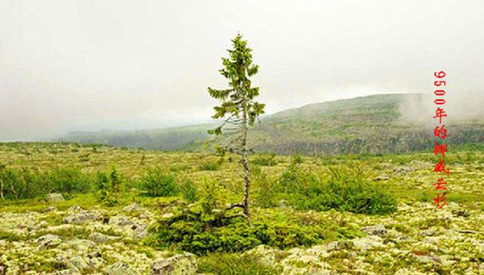 圖片3.jpg 圖片3.jpg