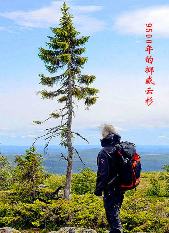 圖片4.png 圖片4.png