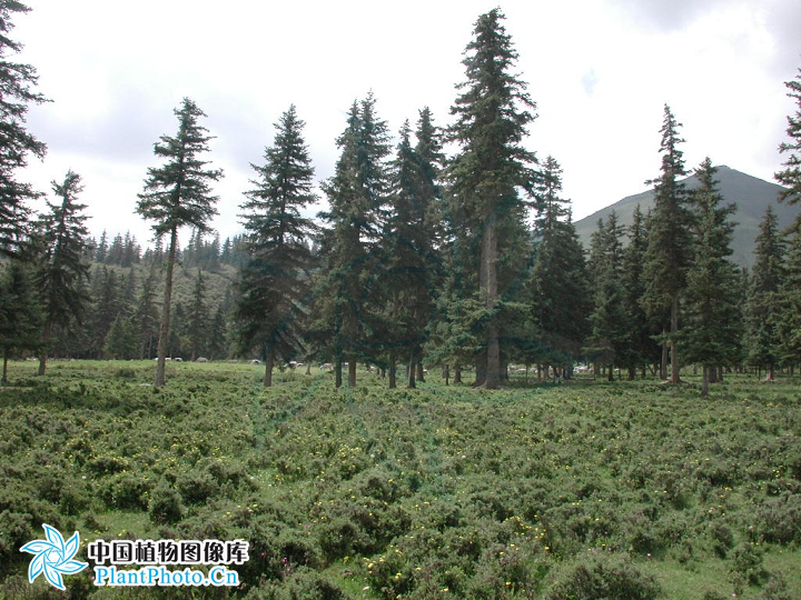 圖片7.png 圖片7.png