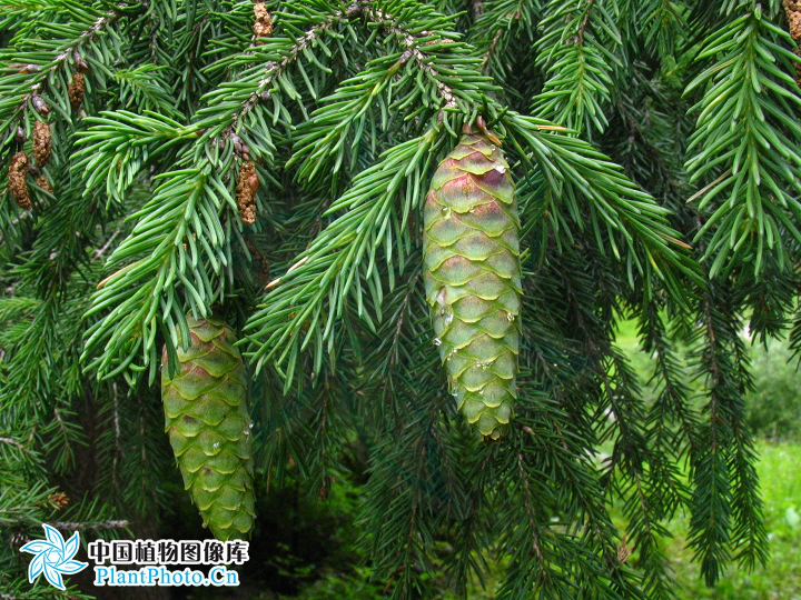 圖片6.png 圖片6.png