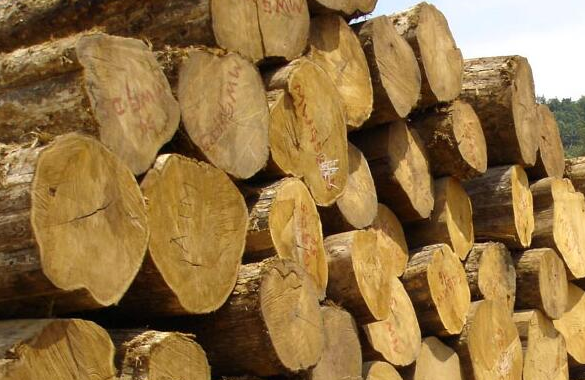 圖片15.png 圖片15.png