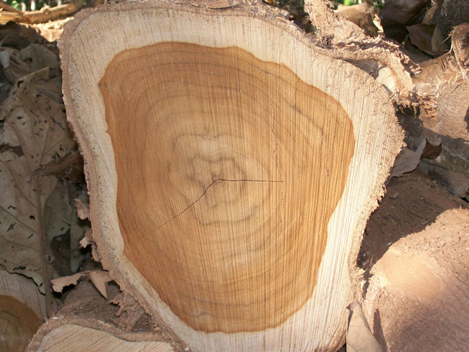 圖片17.png 圖片17.png