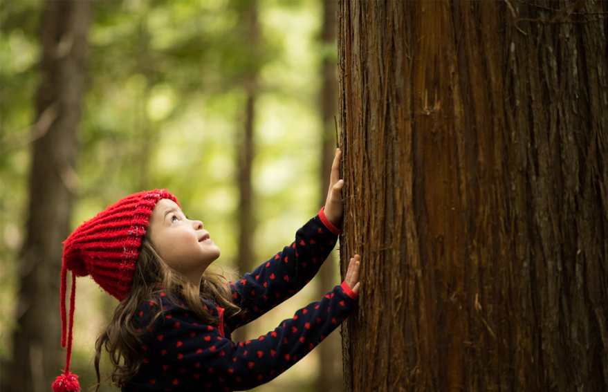 KG1682-2_0012_圖層 34.jpg