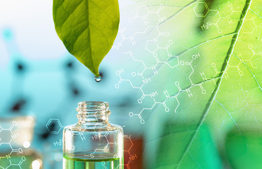 KG1682-2_0002_圖層 44.jpg