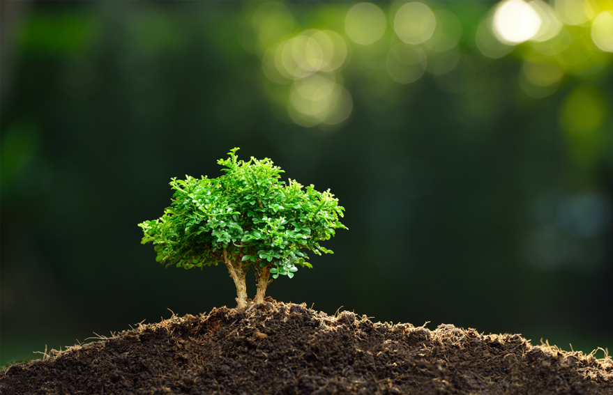 KG1682-2_0001_圖層 45.jpg