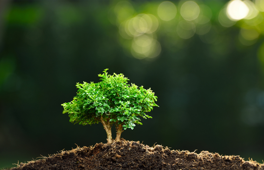 KG1682-2_0013_圖層 48.jpg