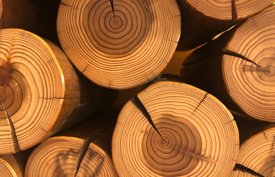 KG1682-2_0011_圖層 118.jpg