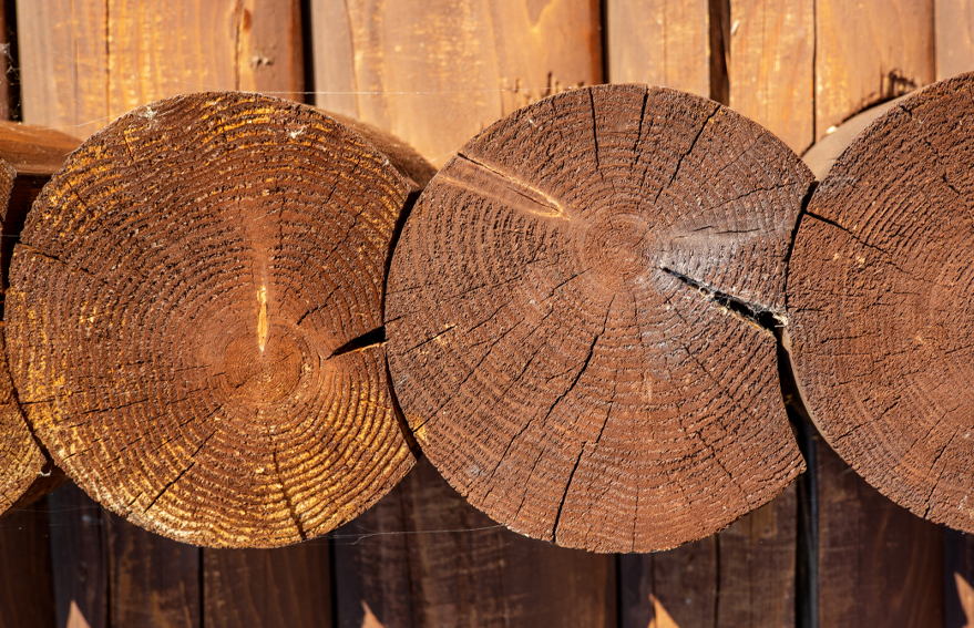 KG1682-2_0009_圖層 120.jpg